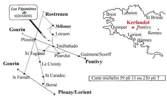Plan pour accéder à la pépinière de Kerfandol en Ploerdut, bretagne  centre dans le 56.